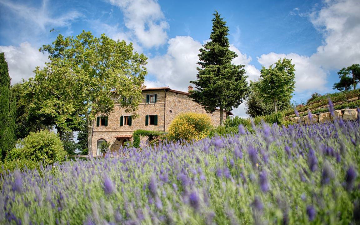 Valletta Olivo | Panzano in Chianti