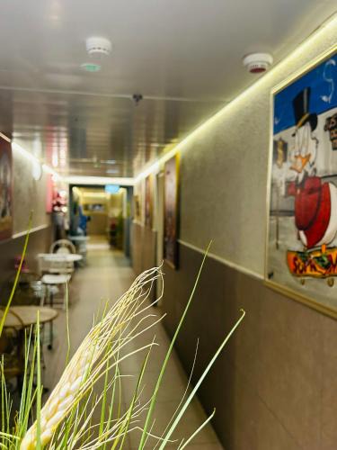 Amdar Hotel Hostel | Eilat
