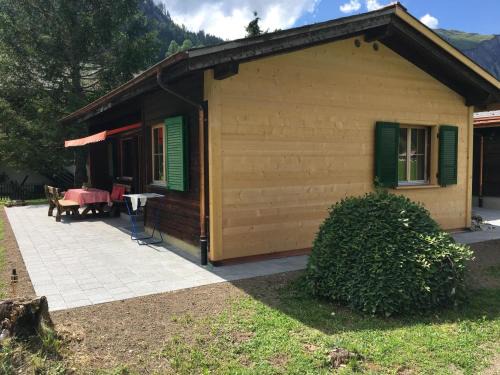 Andrea | Lenk