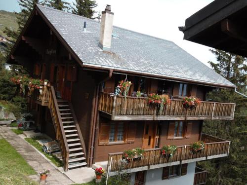 Bärgblüemli Parterre | Bettmeralp