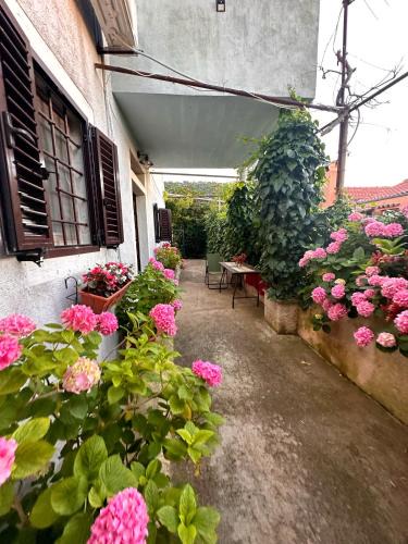 Renata | Veli Losinj