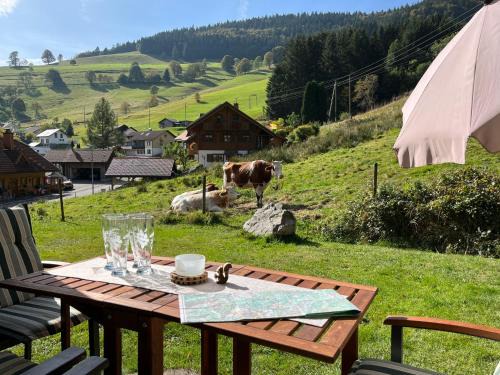 Sonnenblick Todtnau | Todtnau
