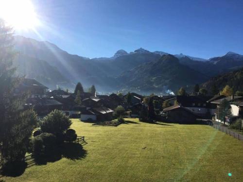 Turmalin Stock | Lenk