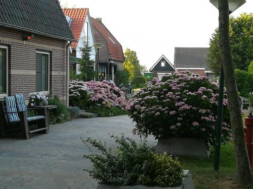 Molshoop | Landsmeer