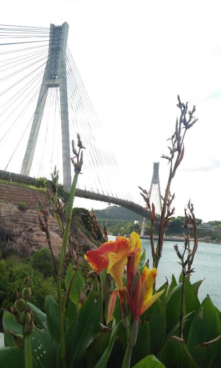 Barelang Bridge Hotel | Kabil