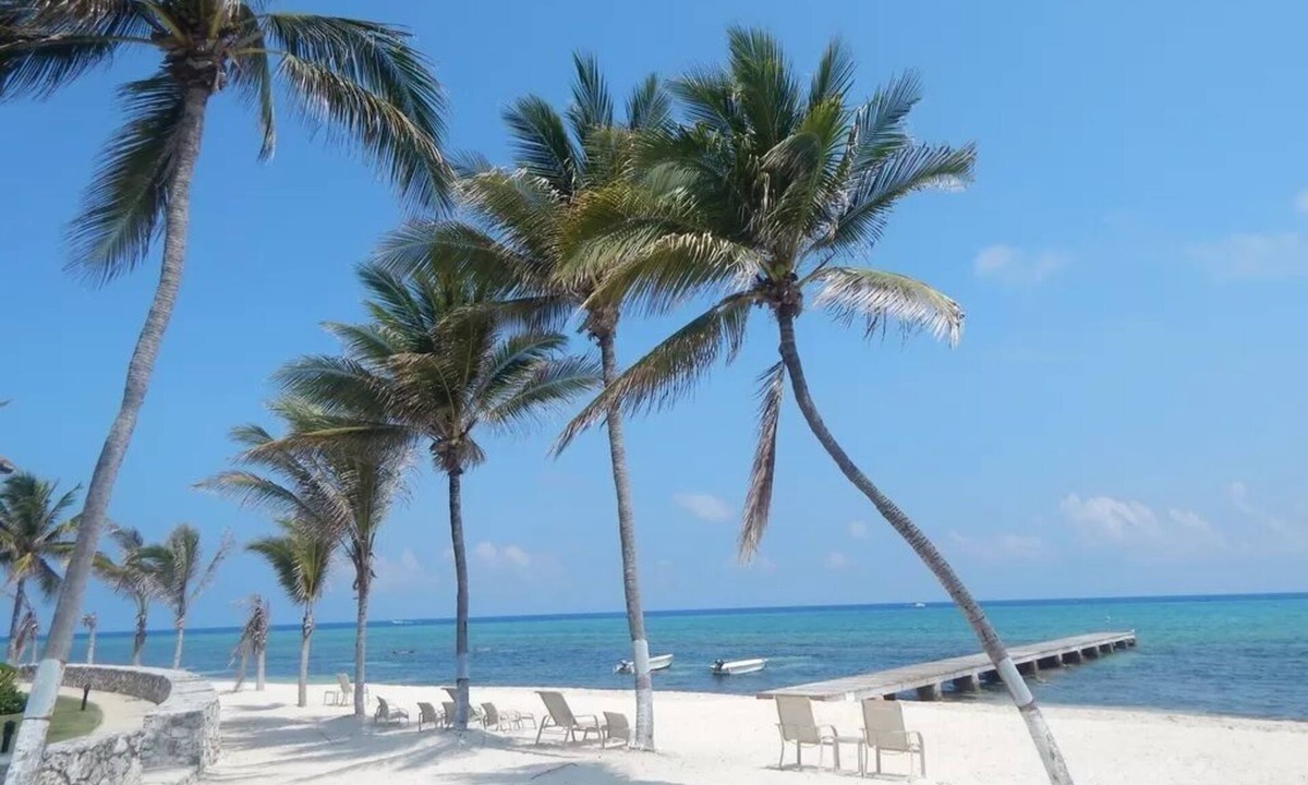 Beach At Villas Pappagallo Blpl | West Bay