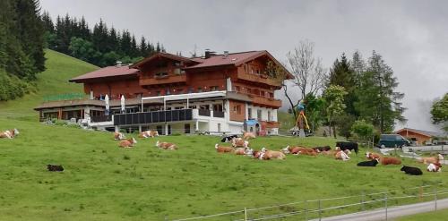 Typ Berghaus Koglmoos | Wildschoenau