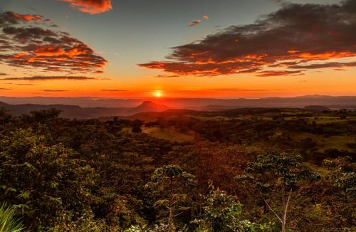 Buena Vista Del Rincon Eco Adventure Park Hotel | Canas Dulces