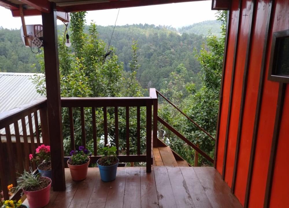Casa Del Bosque | San Sebastian Rio Hondo