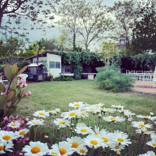 Casa Vacanze Fattoria Pozzitello | Vasto