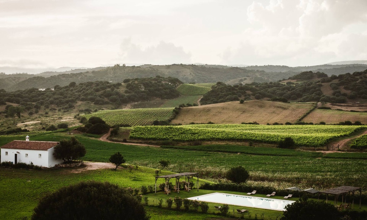 Cottages Vineyard | Galtelli