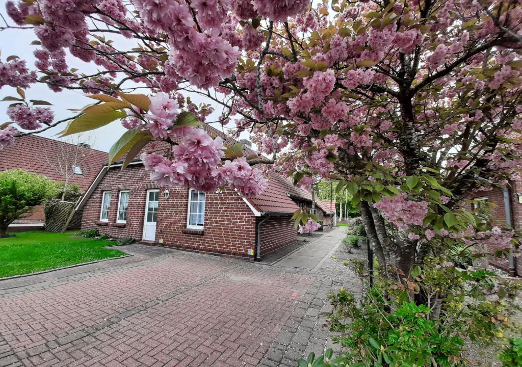 Ebbe | Norddeich