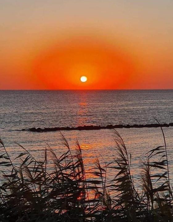 Elena | Paphos