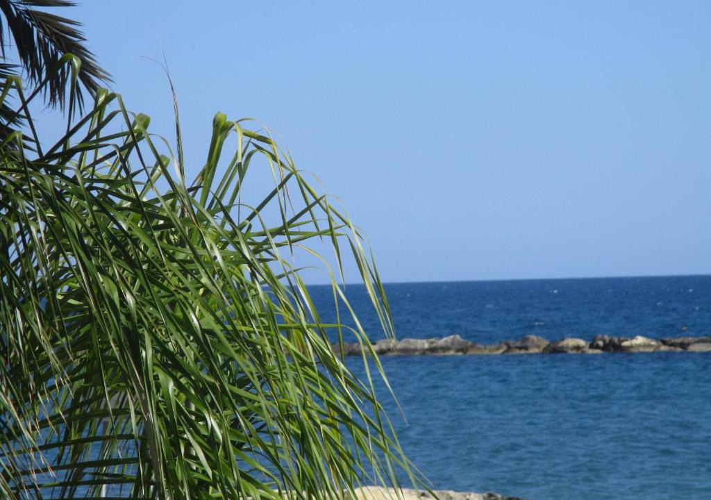Galatex Beach | Potamos tis Germasogeias