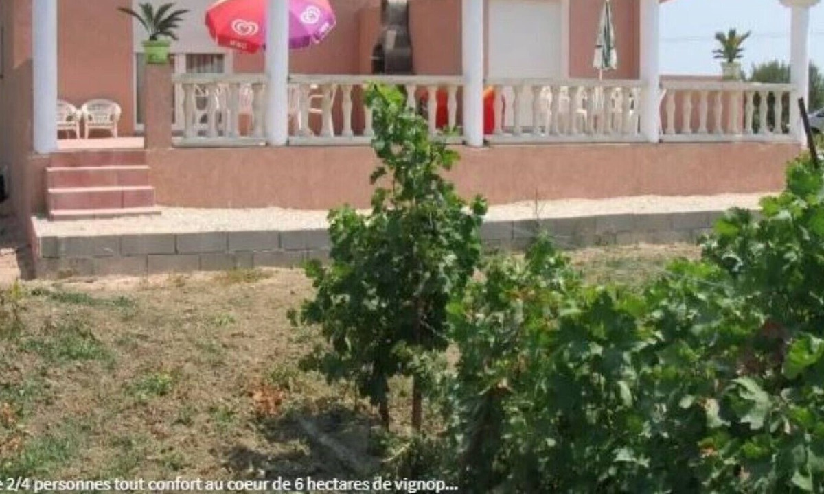 Gite The Heart Of Hectares Vineyard | Saint-Laurent-de-la-Salanque