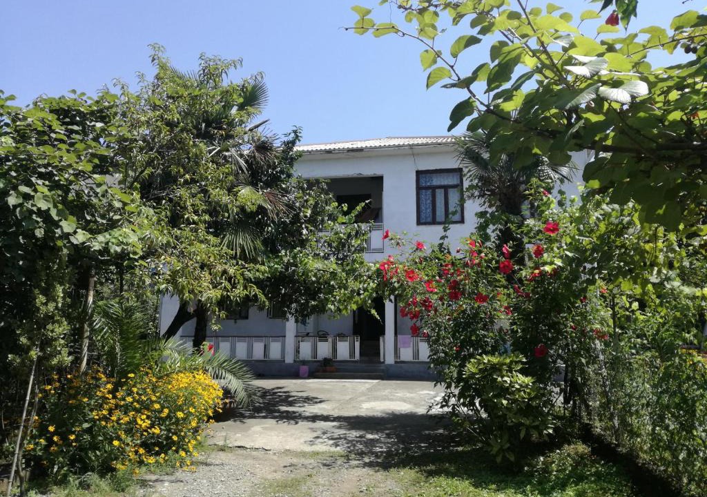 Makhinjauri | Makhinjauri