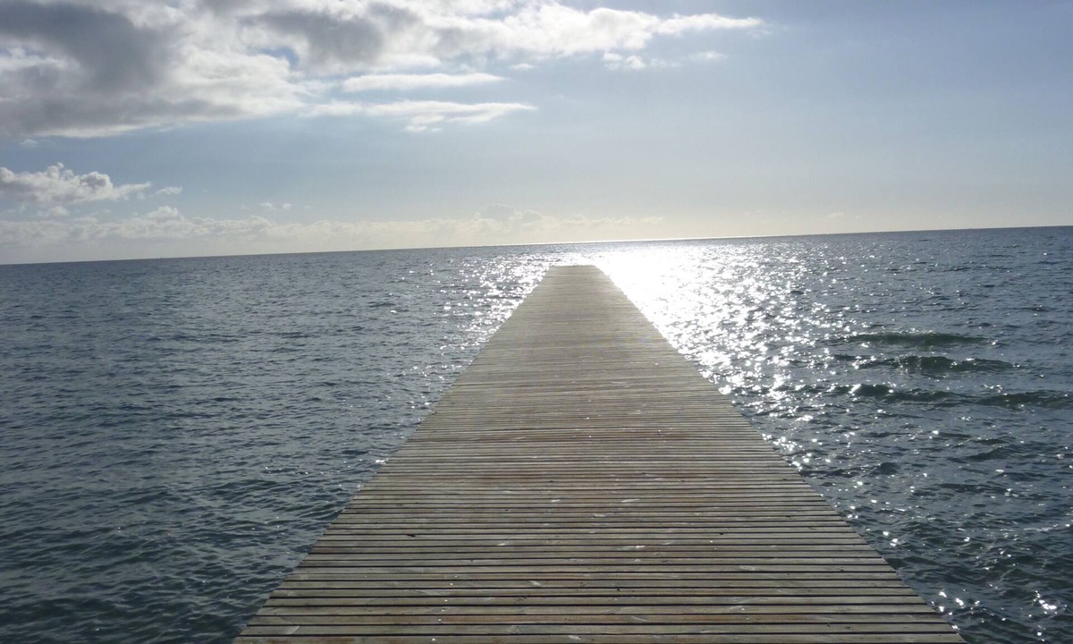 Holiday | Avendorf
