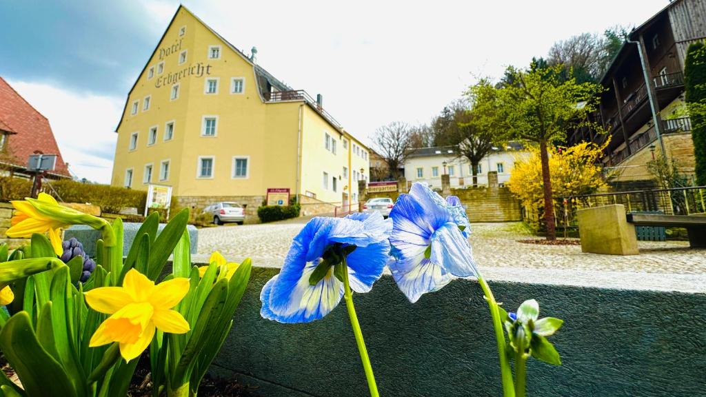 Hotel Erbgericht | Krippen