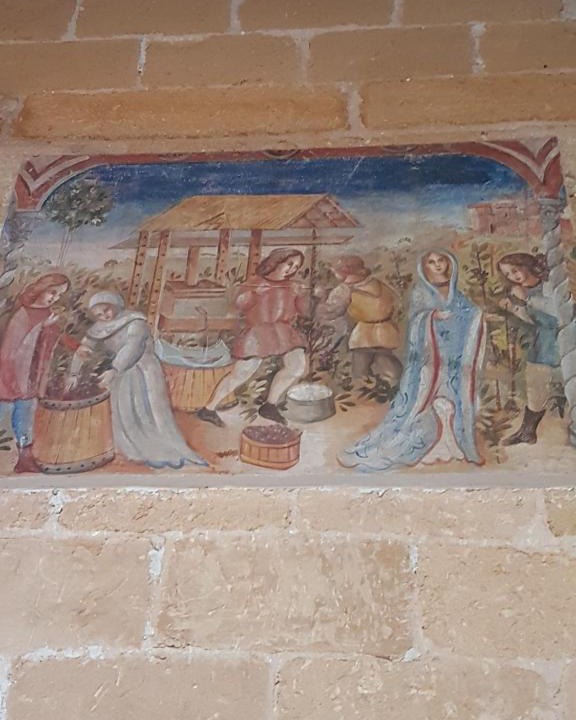 Il Nido E | San Vito Lo Capo