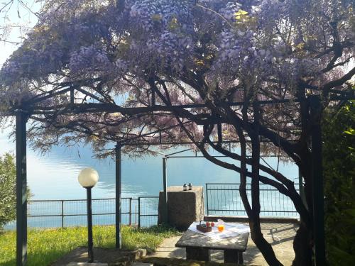 Iseolakerental La Villina Zù | Riva di Solto