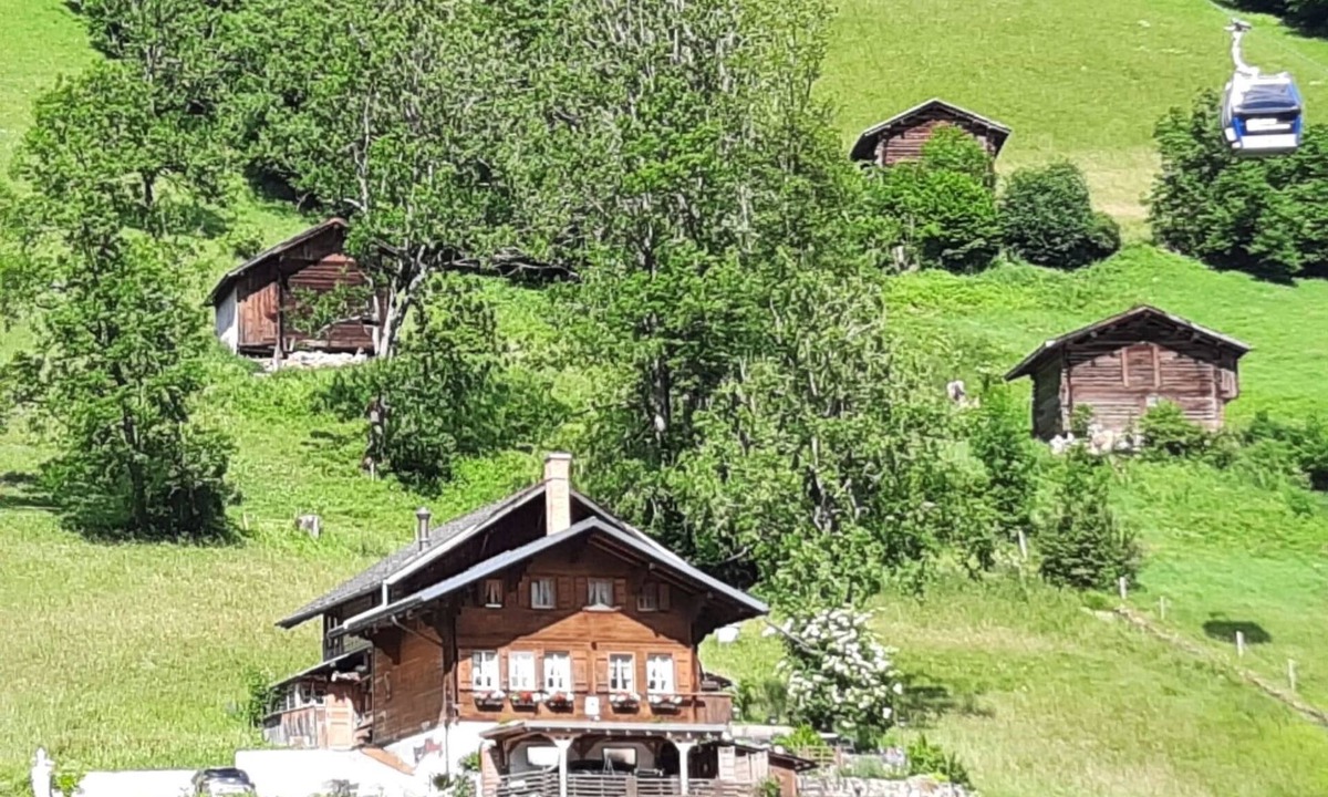Kari Schüür | Lenk