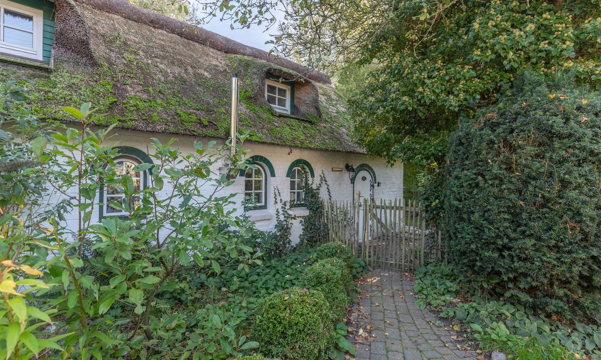 Willkommen Auf Dem Kastanienhof Genießen Sie Die Weiten Natur Hü | Schleswig-Holstein