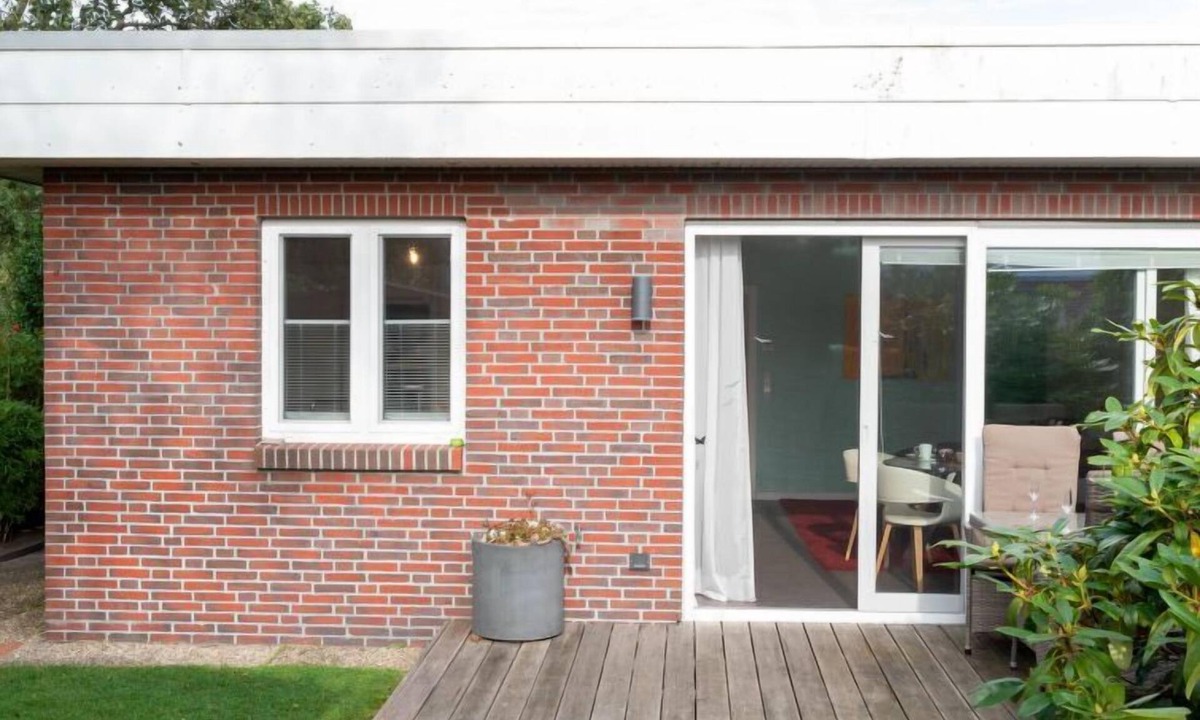 Kegelrobbe | Norddeich