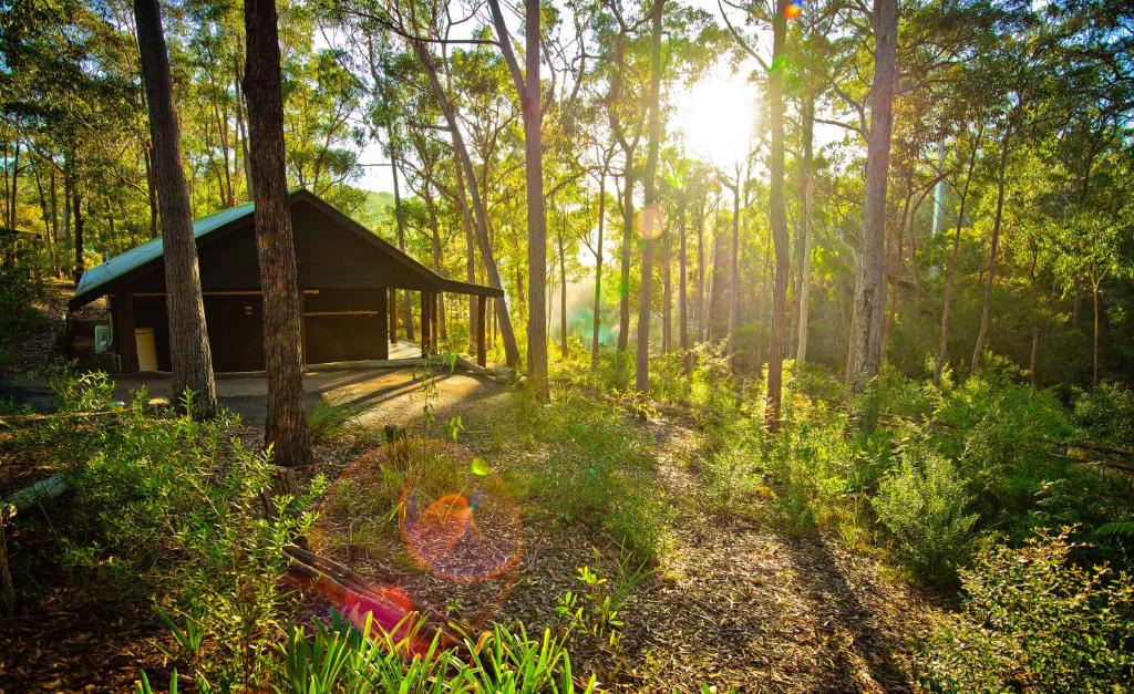 Kianinny Bush Cottages | Tathra