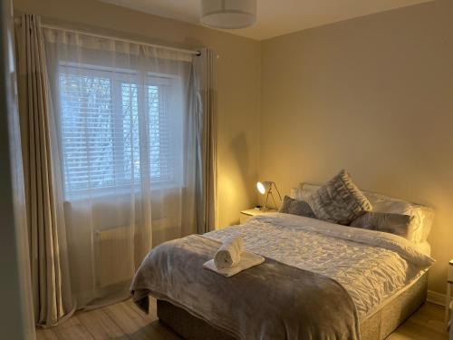 Letterkenny Town Centre | Letterkenny