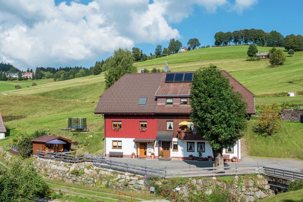 Todtnauberg The Forest Terrace | Todtnau