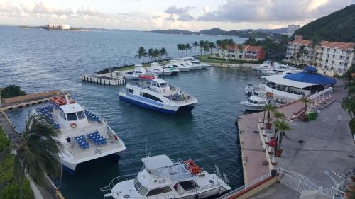 Marina Lanais | Cabezas