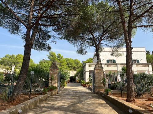 Masseria La Camardia | Sava