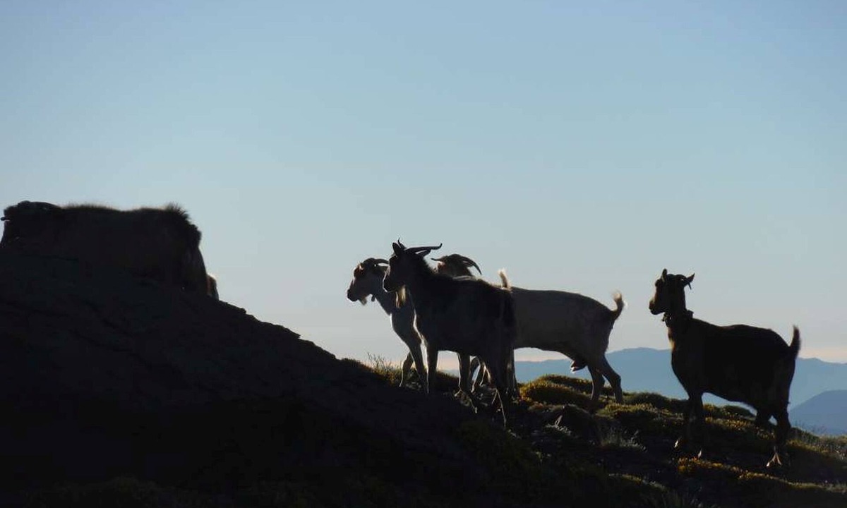 Casa Sierra Nevada | Bubion