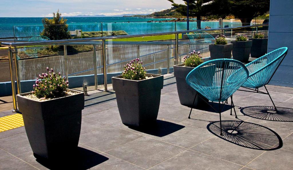 Penguin Beachfront | Penguin