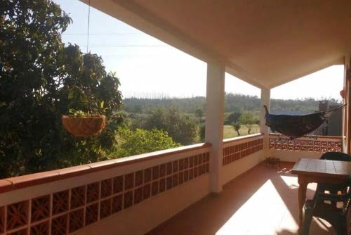 Quinta Americano | Sardoal