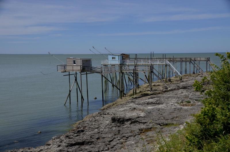 Les Ecureuils | Saint-Palais-sur-Mer
