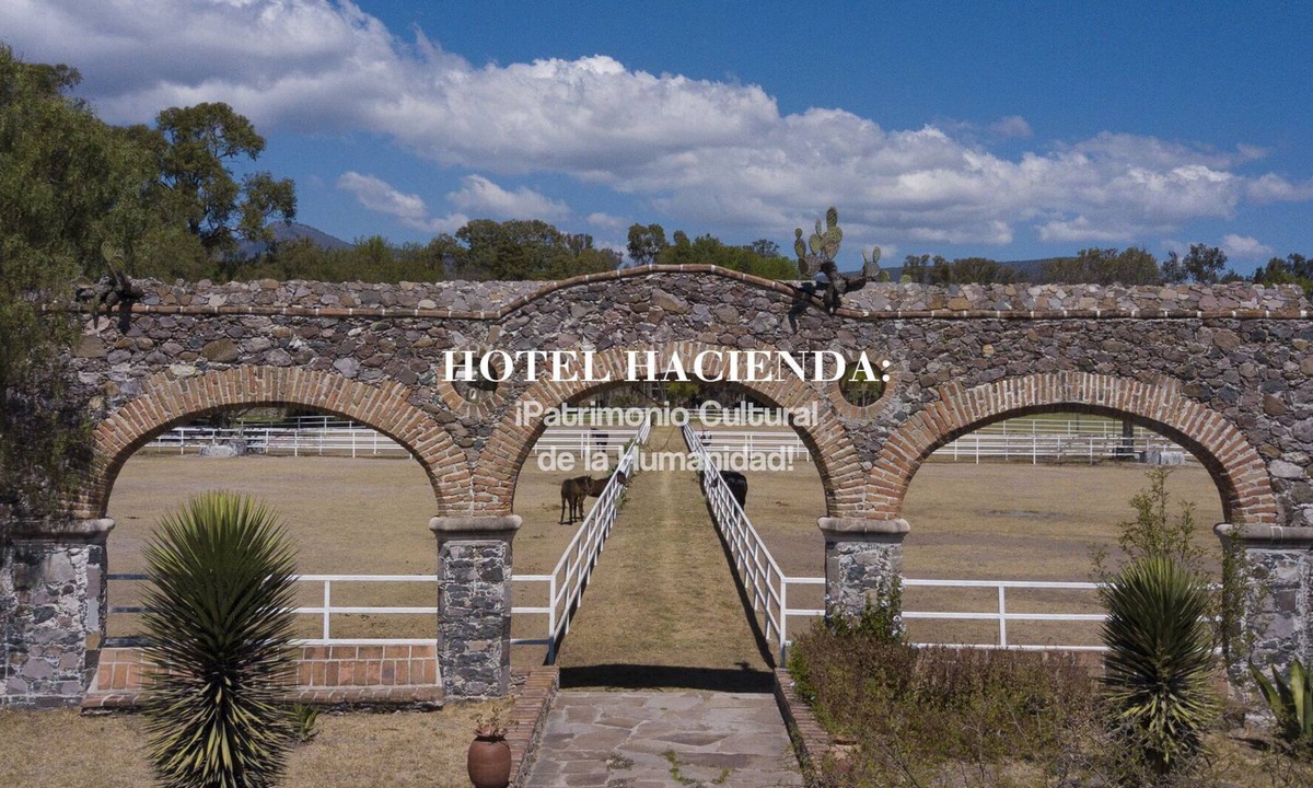 Royal Silver Inn | El Marques