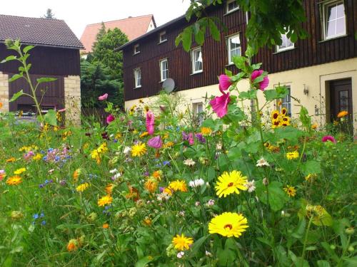 Wei Ig Saxony Garden | Weißig