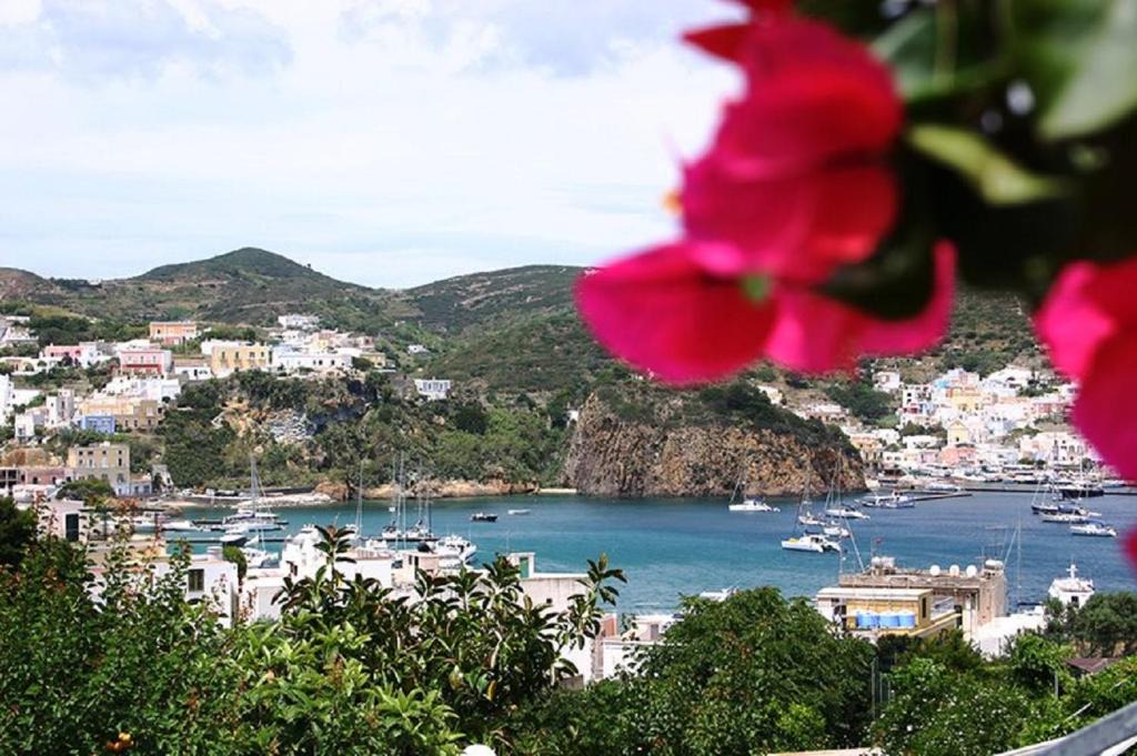 Picicco | Ponza