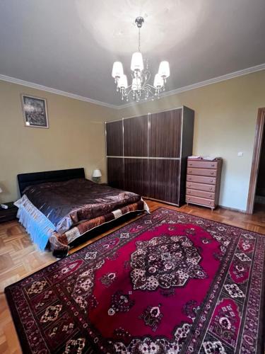 Jelgava | Jelgava