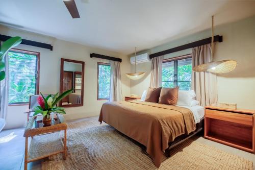Songs Jungle Lodge Tree | Negroman