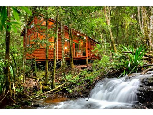 The Mouses Rainforest Retreat | Springbrook