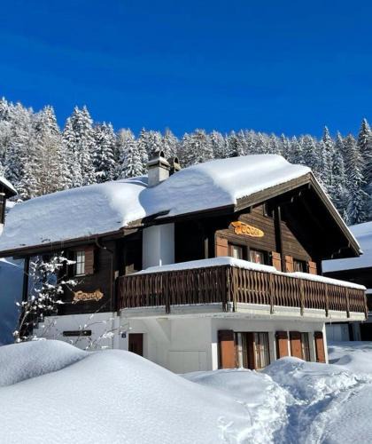 Toggi | Bettmeralp