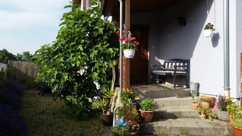 Elsass | Artolsheim