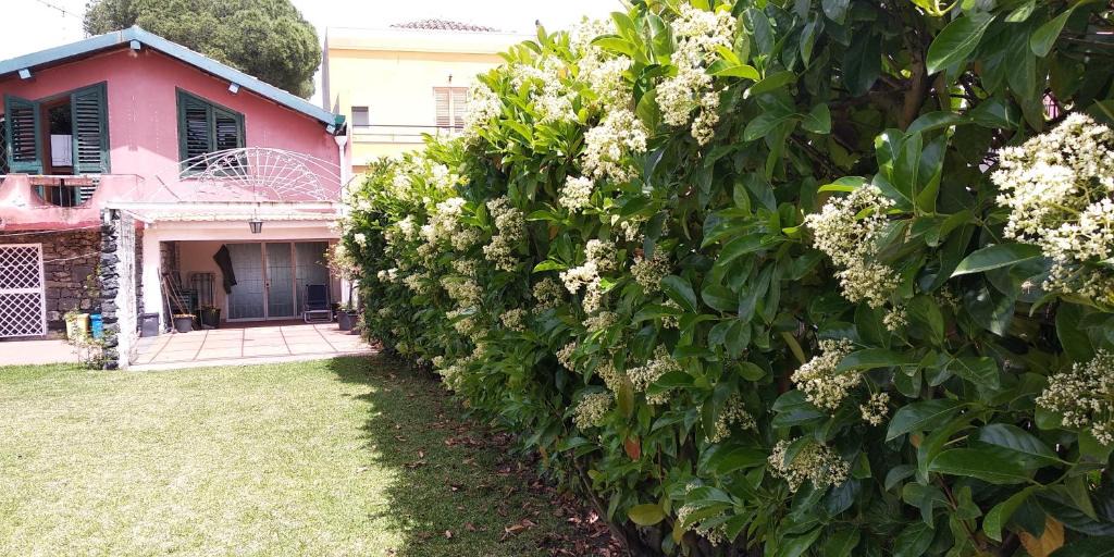 Villa Garden The Sea | Acireale