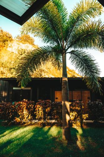 Hostel | Las Escobas del Venado