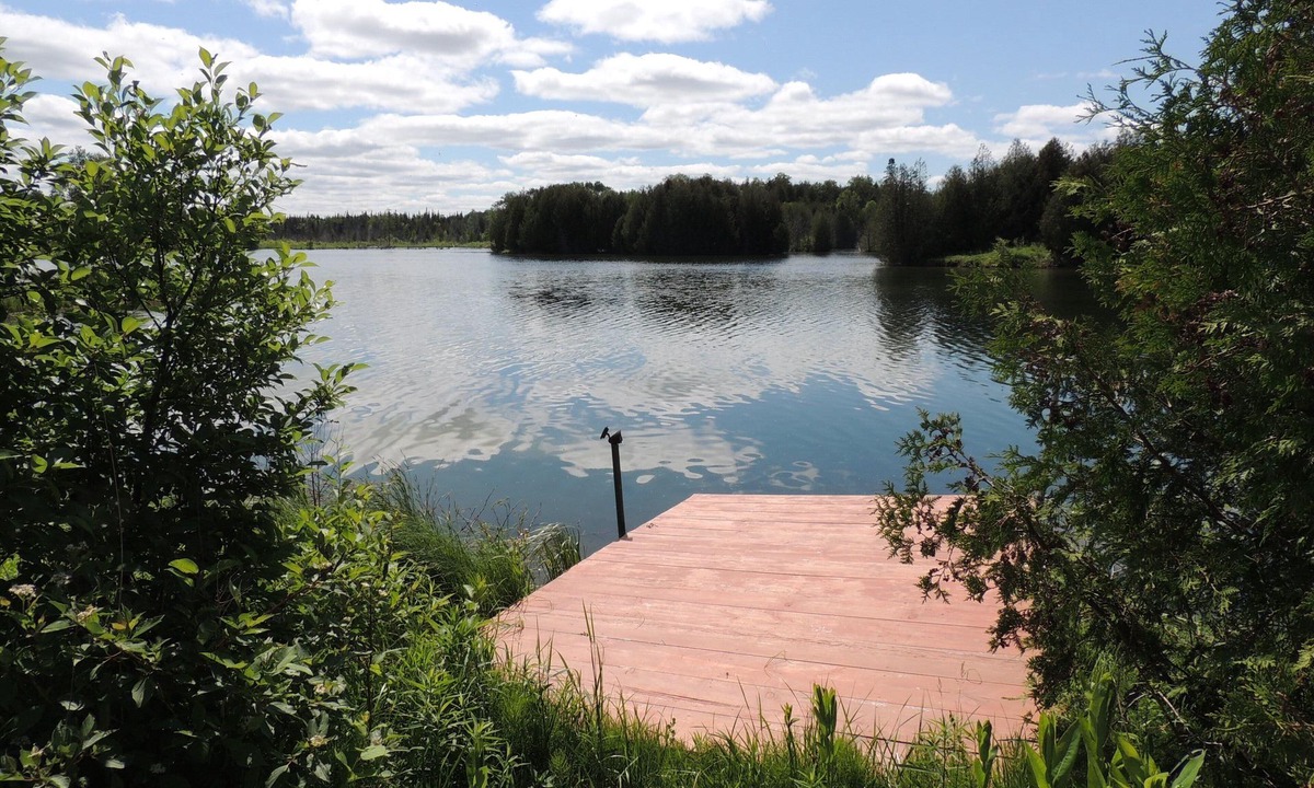 Waterfront Trout | Grey Highlands
