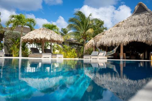 Caribbean Club Bonaire Kralendijk | Belnem
