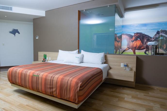 Xcoco Inn | Texcoco