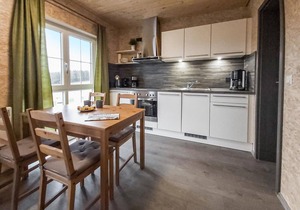 1 bedroom accommodation in Olbernhau